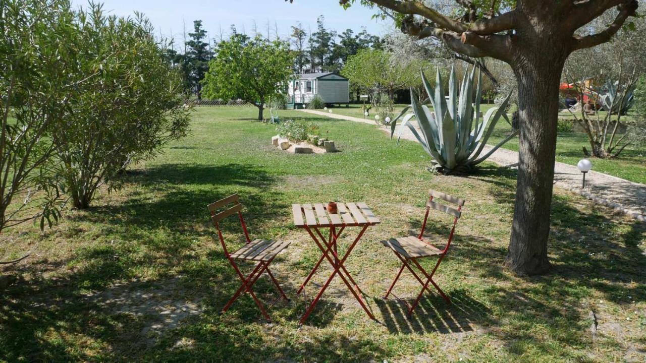 Mas Maurane - Les Lavandes Aux Portes D'Arles Apartamento Tarascon Exterior foto